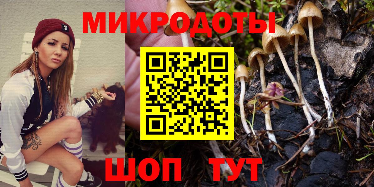 Псилоцибиновые грибы мицелий Азнакаево