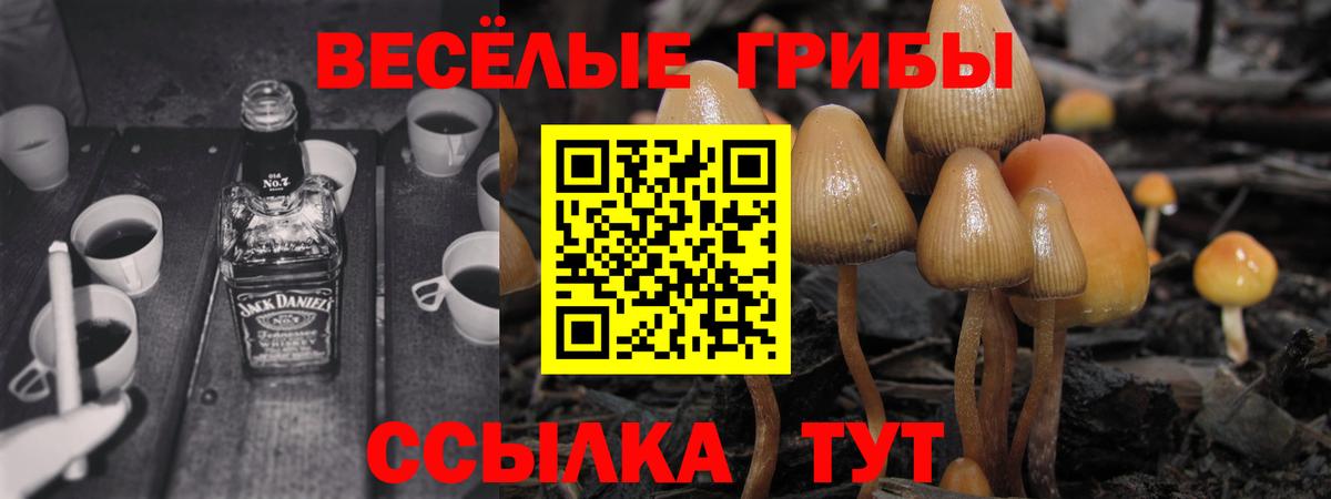 Азнакаево  Псилоцибиновые грибы мухоморы  Вход с VPN  закладка  Псилоцибиновые грибы GOLDEN TEACHER 